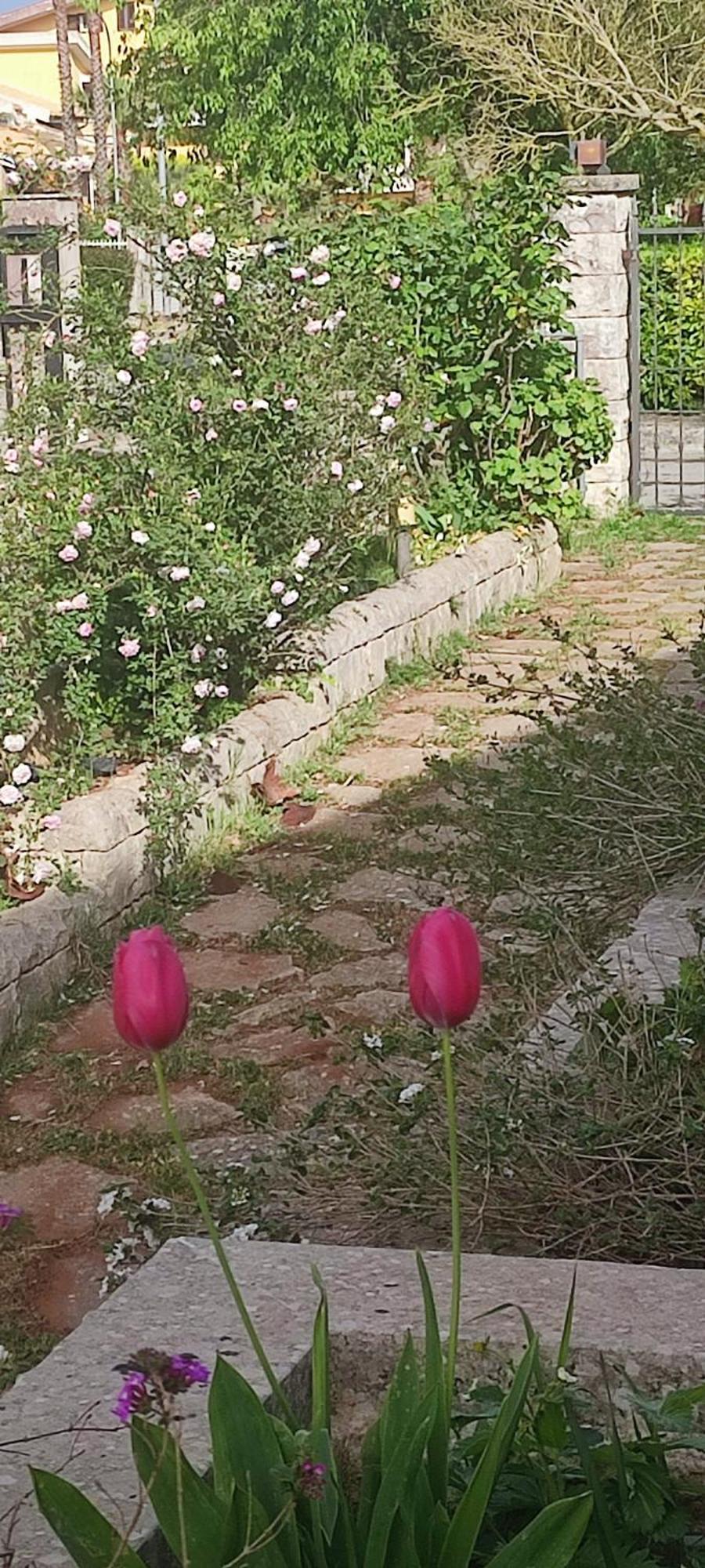 B&B Villa Victoria Ragusa Exterior foto